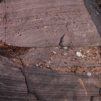 Dh-Q/Si: Areniscas y conglomerados