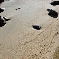 DhNc-Mx: Arena de playa