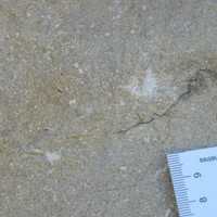 C-Ca: Calizas de grano grueso