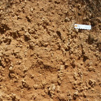 Arcillas con nódulos de carbonato