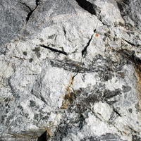 P-Q/Si: Granito leucocrático